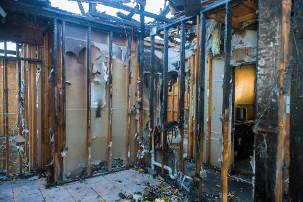 Professional Fire Damage Repair technician working in Woodville, FL